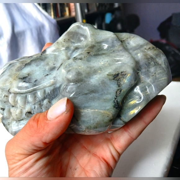 LARGE LABRADORITE DINOSAUR CRYSTAL SKULL - Picture 6 of 6